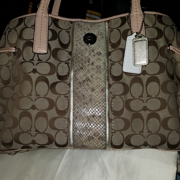 Coach Signature w/Python - Picture 5 of 5
